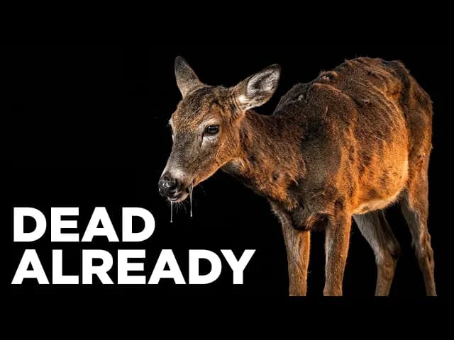Editing a Science Documentary on Zombie Deer Disease Without Losing the Story